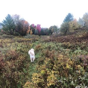 Meet your Posher, Nicholas